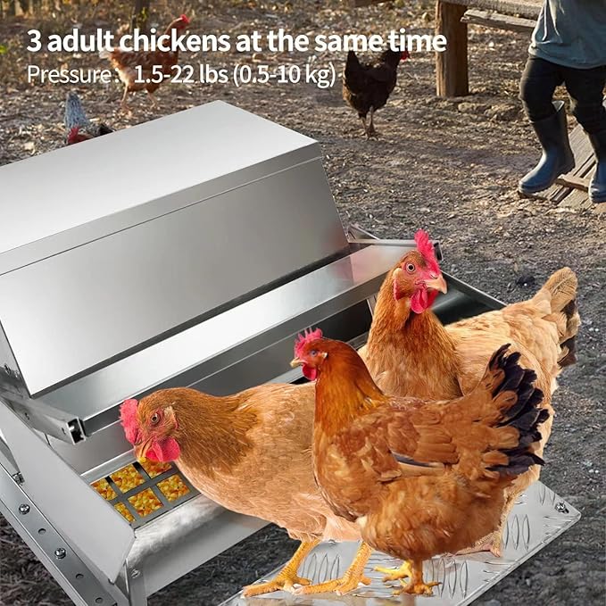 RYFT Automatic Chicken Feeder 25 lb Galvanized Steel Poultry Feeder, Up to 12 Chickens 10 Days with Weatherproof Lid, for Chickens, Ducks, Fowl