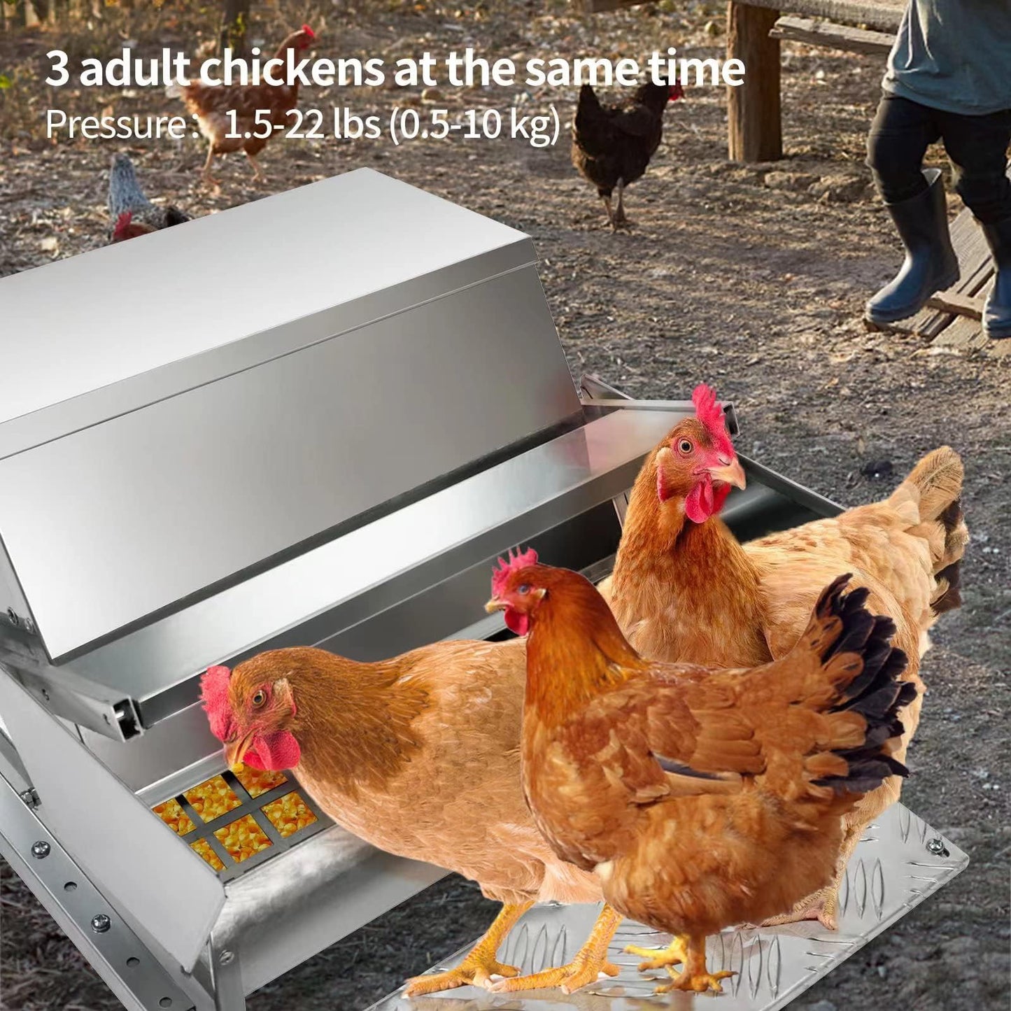 RYFT Automatic Chicken Feeder 25 lb Galvanized Steel Poultry Feeder, Up to 12 Chickens 10 Days with Weatherproof Lid, for Chickens, Ducks, Fowl