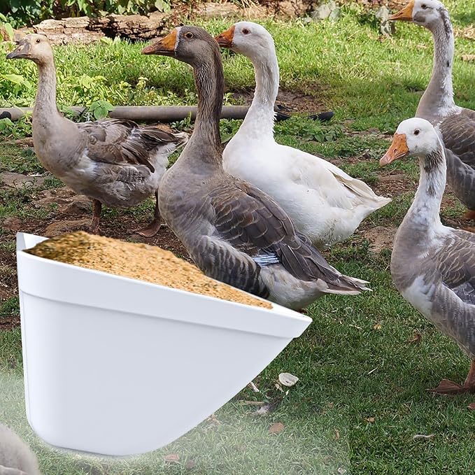 Hanging Chicken Feeder Trough for Goat Sheep Deer Poultry Duck Chicken Fence Feeder Livestock Feeding Container Goats Supplies Feeders Waterer Bucket (White)