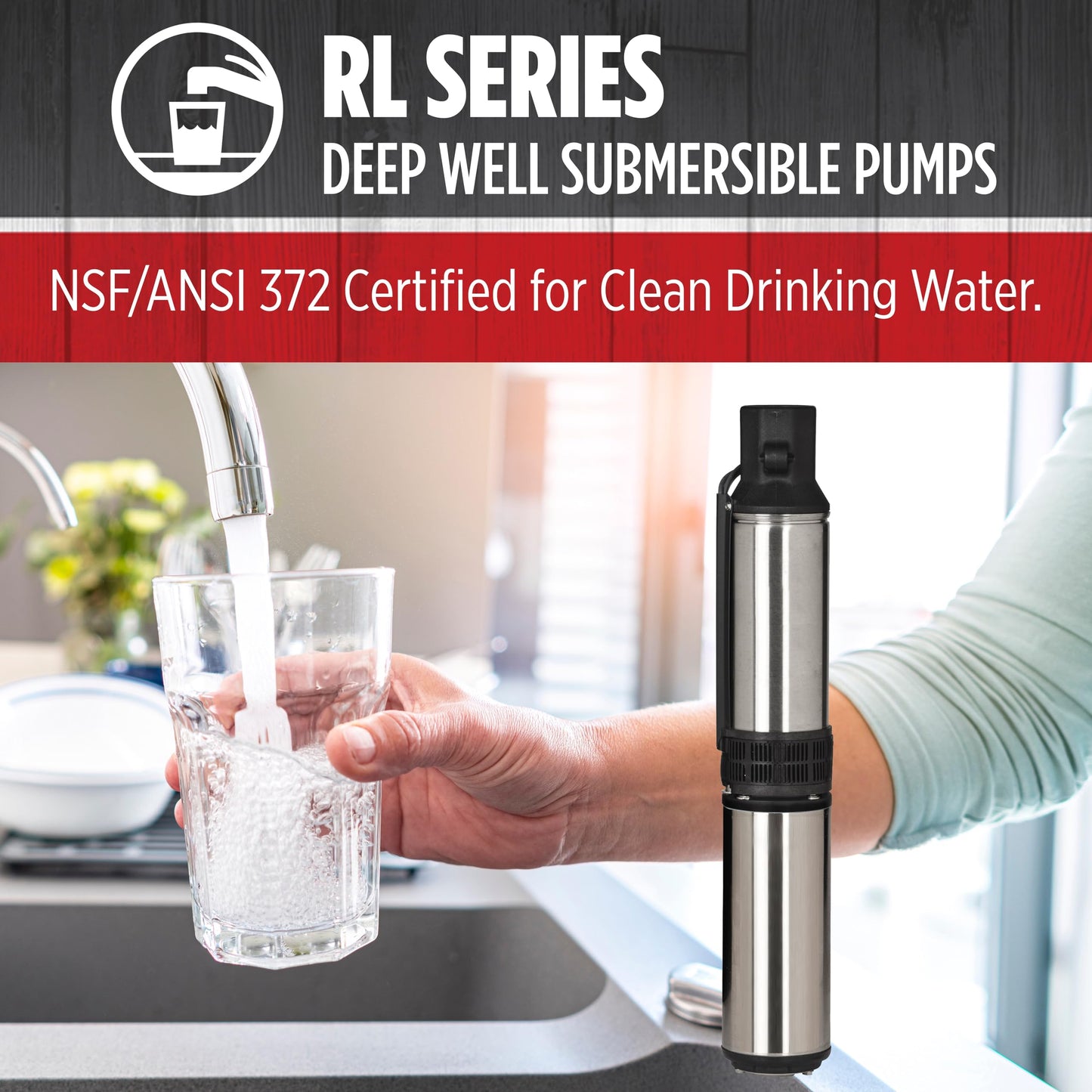 Red Lion RL12G05-2W2V 4-inch Submersible Deep Well Pump, 1/2 HP, 12 GPM, 2-Wire, 230 Volt, Steel, 14942402