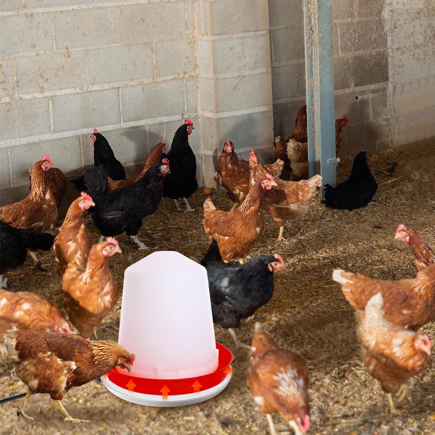 MEWTOGO Chicken Water Heater for Winter - 60W Poultry Waterer Drinker Heated Base for 1-3 Gallon Plastic/Metal Poultry Founts, Thermostatically Controlled for Outdoor Indoor Coop