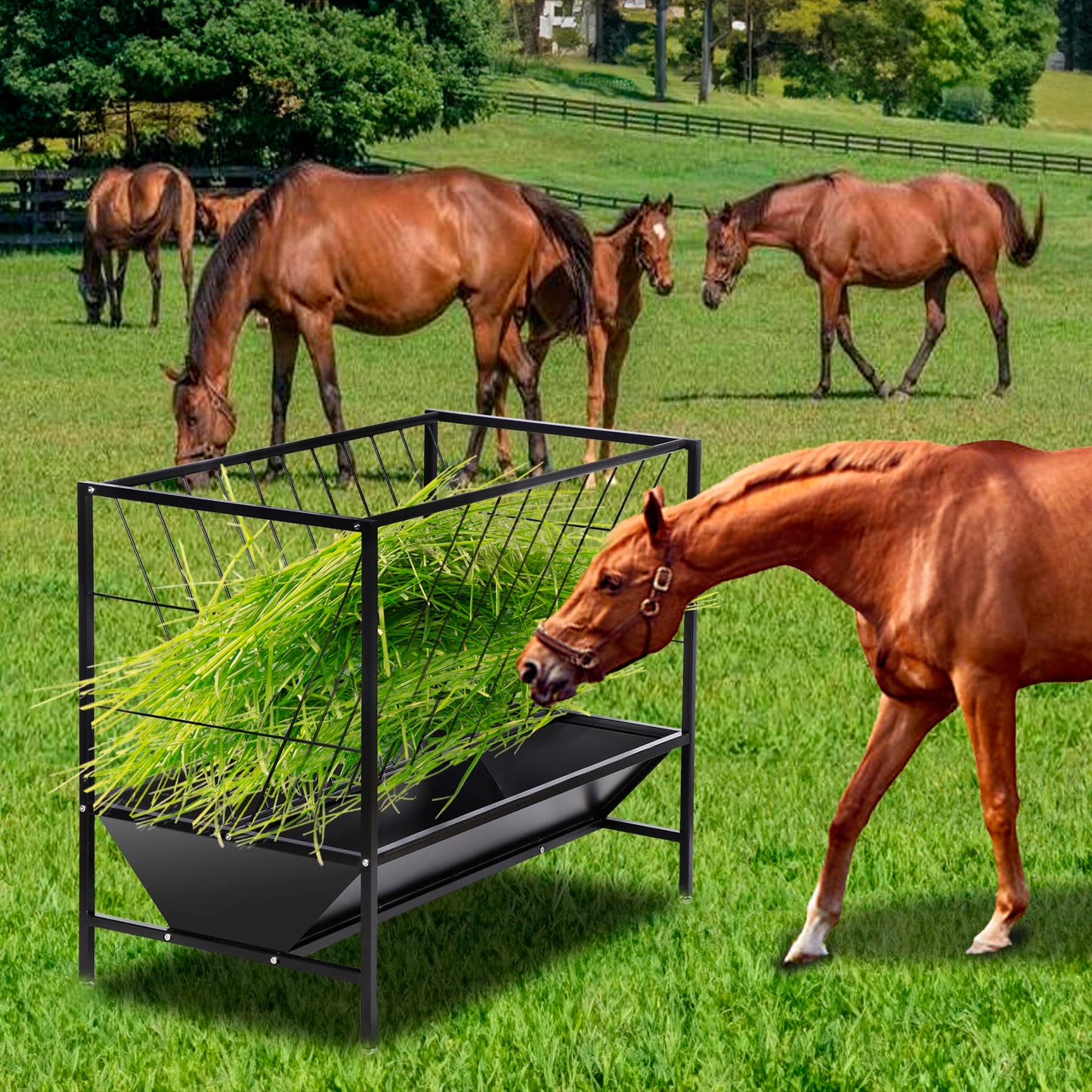 Oxphanor Pasture Hay Feeder 45 Gallon, Heavy-Duty Hay Grain Livestock Feeder with 24 Gallon Feed Pan, Livestock Feeding Trough Quick to Assemble, Feeding Goats, Calves, Cow, Horse for Farms