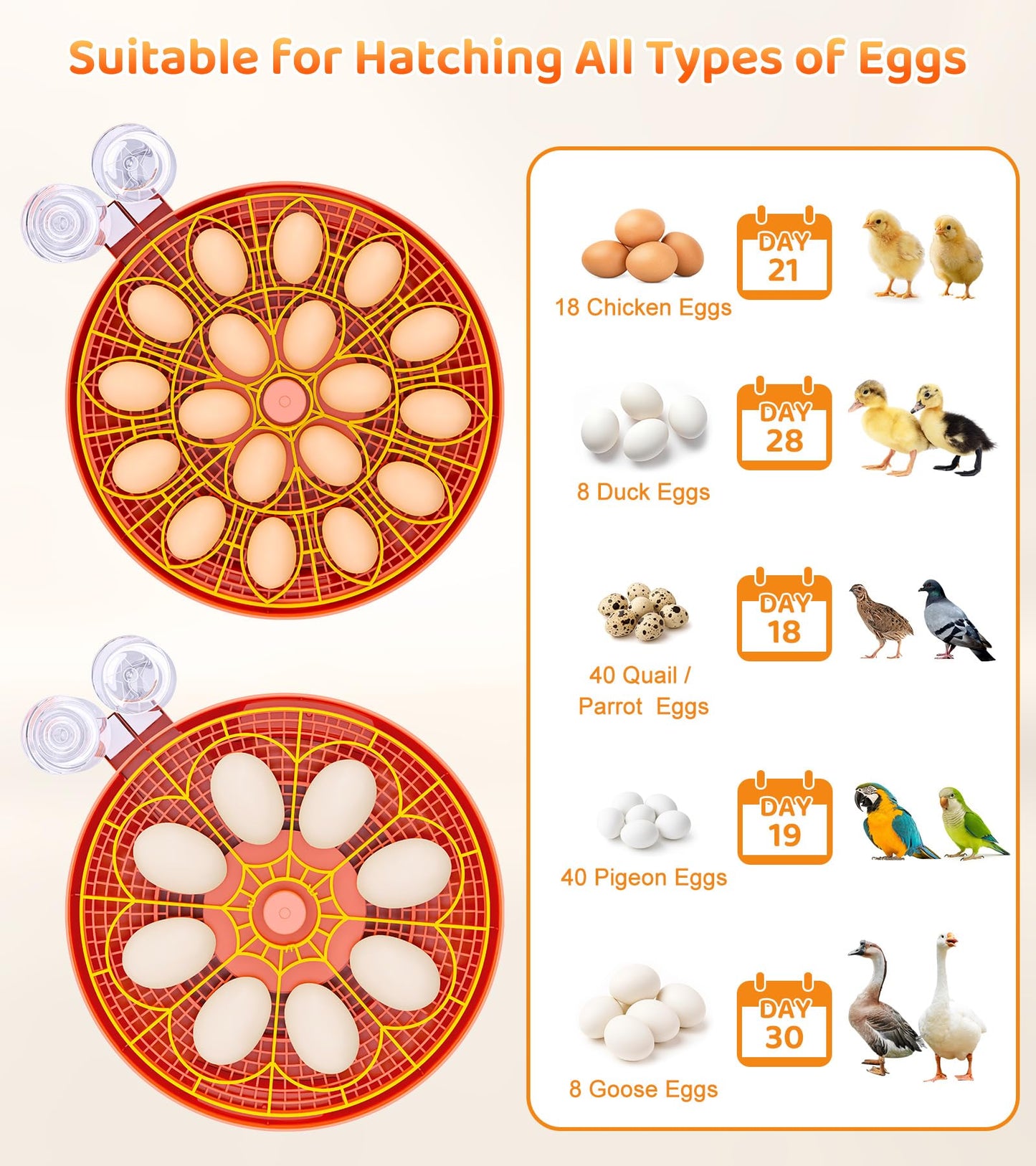 18 Egg Incubator with Automatic Egg Turning, Digital Temperature Humidity Control, Incubator for Hatching Eggs, 360° View Eg-g Candler, Chicken, Quail, Duck, Goose, Turkey Incubato-r for Home & Farm