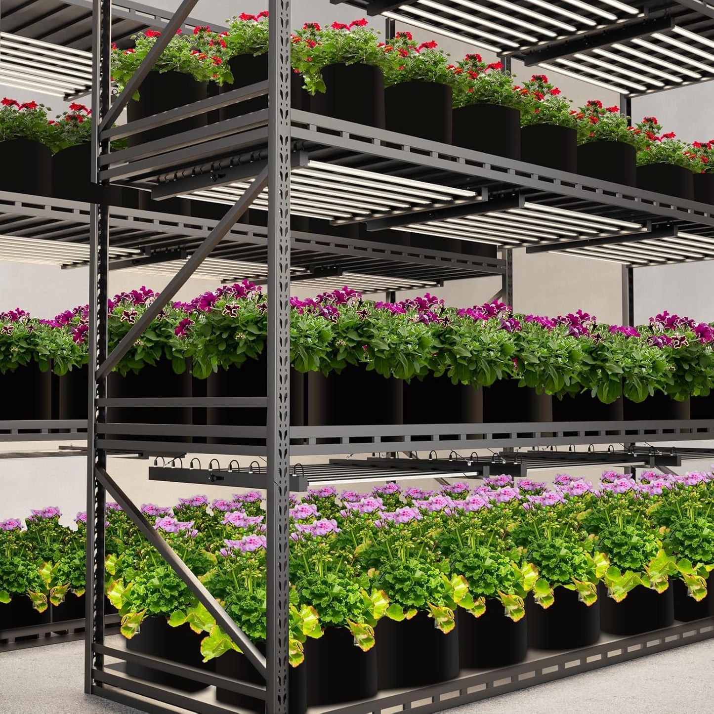 800W LED Grow Light, Full Spectrum Plant Grow Lights, 6 * 6 Ft Coverage Dimmable Daisy Chain Plant Grow Lamp with 8 Light Bar for Indoor Plant Growth, Vertical Farming, Commercial Hydroponic Grow