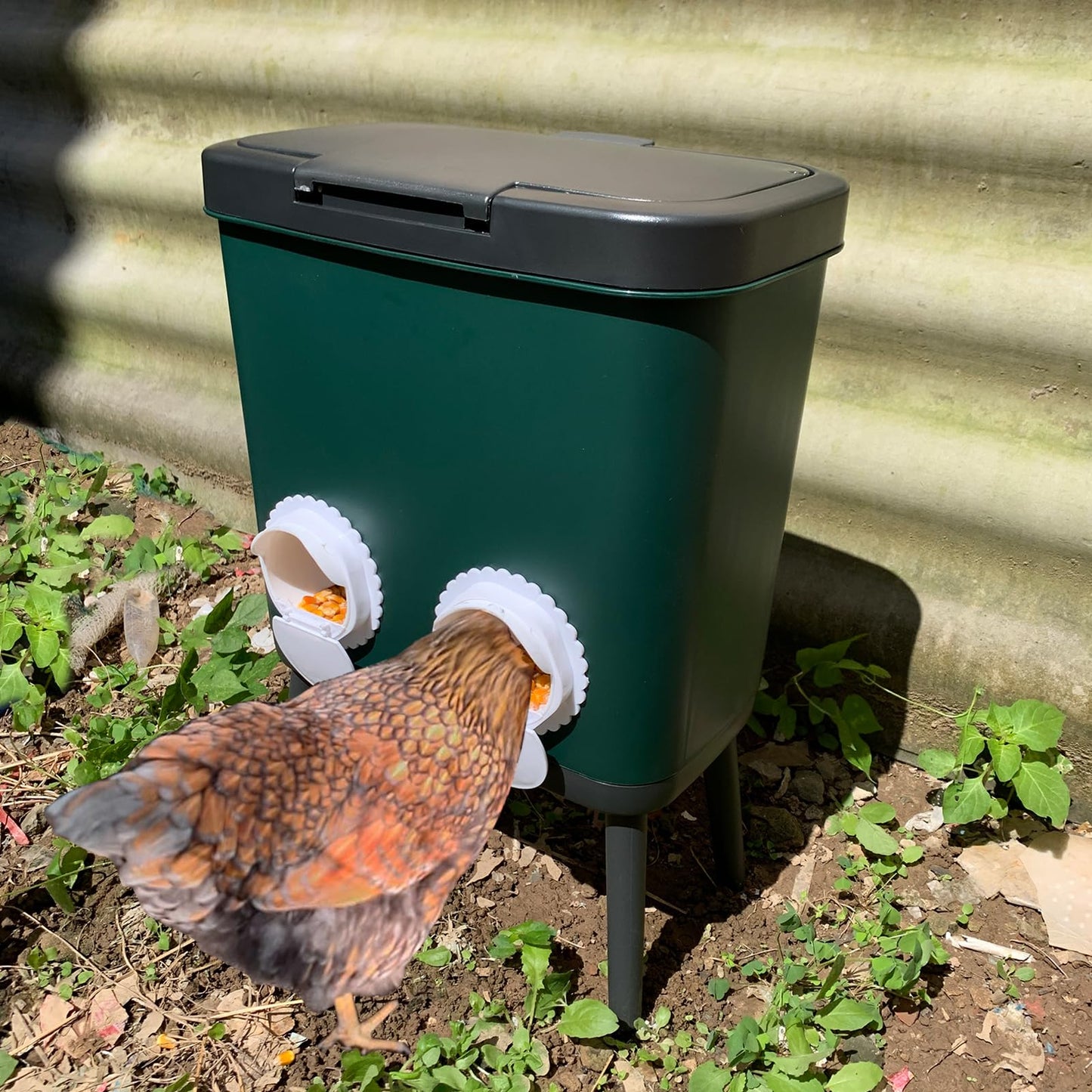 33 LB Automatic Chicken Feeder No Waste with 4 Pcs Port Large Capacity Free-Standing Poultry Food Feeder Outside and Indoor DIY Gravity Poultry Feeding Dispenser for Chicken Geese Quails and Turkeys