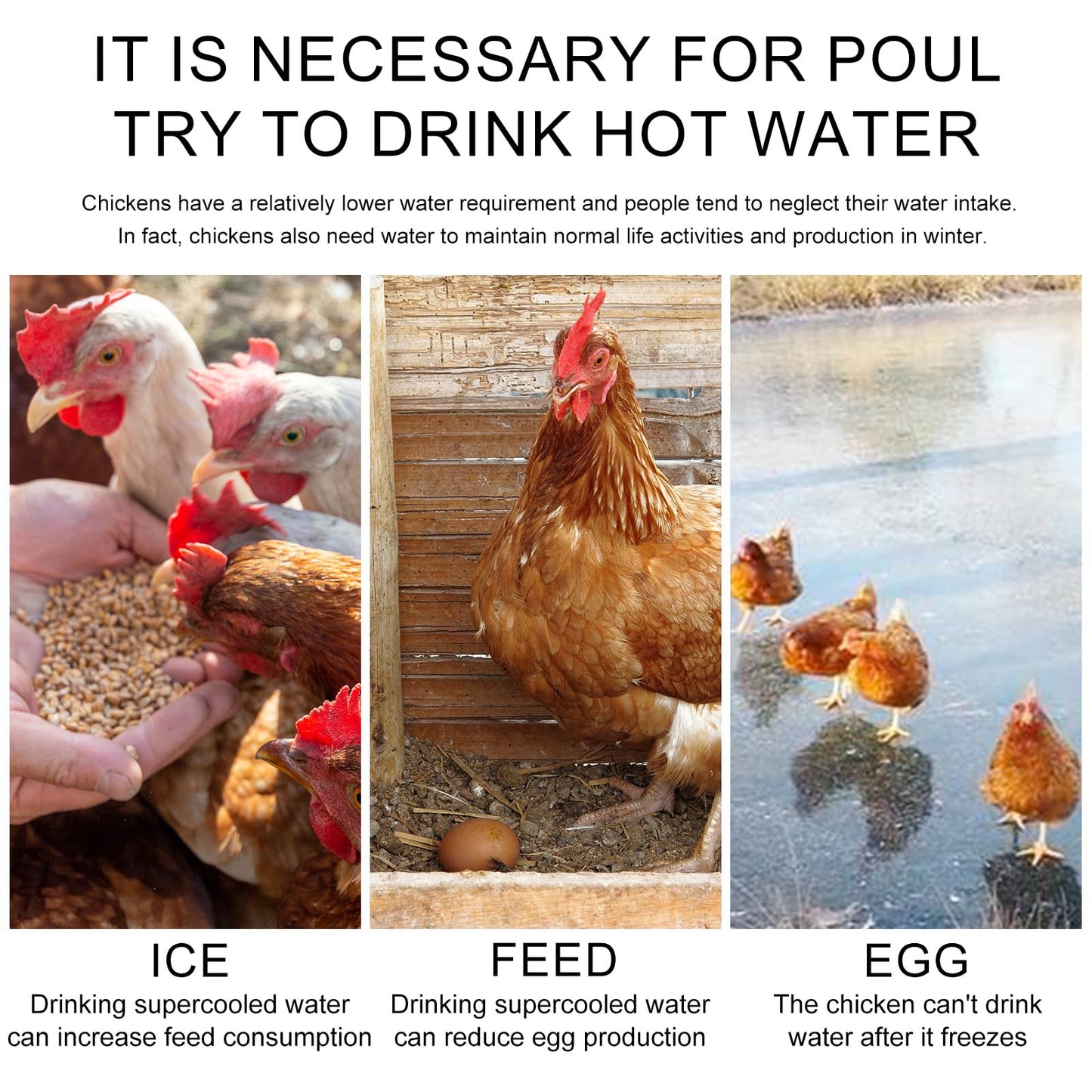 Heated Chicken Waterer - 5 Gallon Metal Base With Temperature Indicator for Winter - For Chickens, Ducks, Pigeons (Does Not Contain Buckets)
