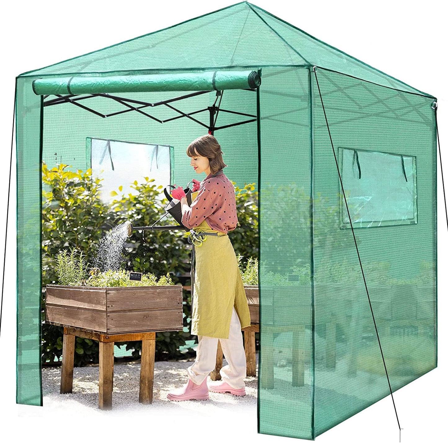 PexFix 8'x 8' Portable Walk-in Greenhouse for Outdoor & Indoor, Easy to Assemble Pop up Grow Greenhouses with Sturdy PE Cover and Roll-Up Windows & Door for Flowers, Fruits, Herbs Growing