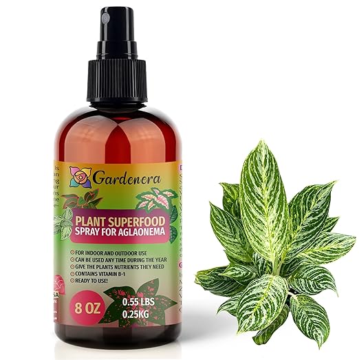 𝐁𝐄𝐒𝐓𝐒𝐄𝐋𝐋𝐄𝐑 Plant Superfood for AGLAONEMA Plants with B1 Vitamin, Glucose and Essential Minerals - Organic Plant Food Fertilizer for Indoor & Outdoor AGLAONEMA Plant Care - 8oz