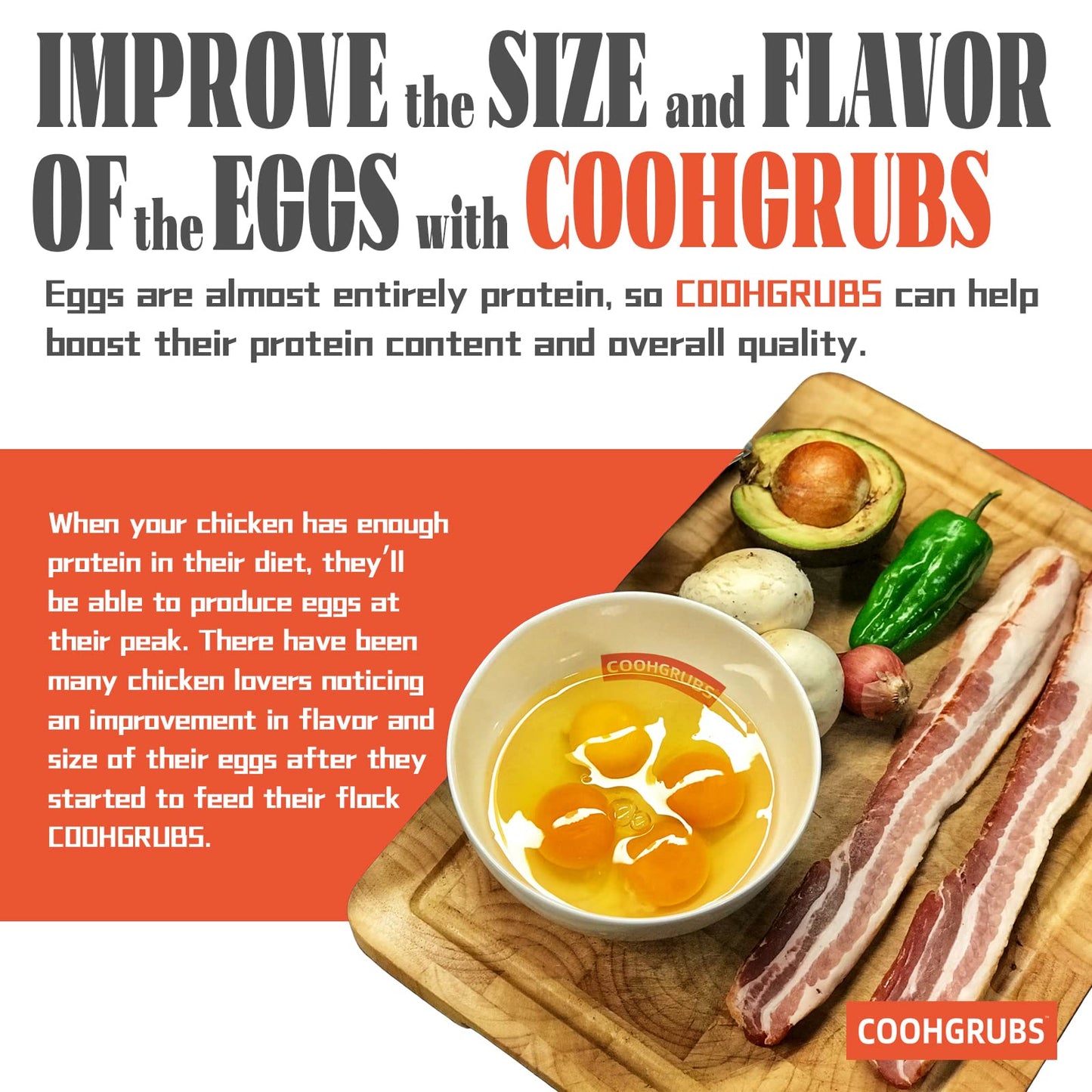 COOHGRUBS Dried Black Soldier Fly Larvae 2 lb – High Protein Chicken Feed with More Calcium Than Mealworms for Chickens, Birds, Reptiles & Small Pets