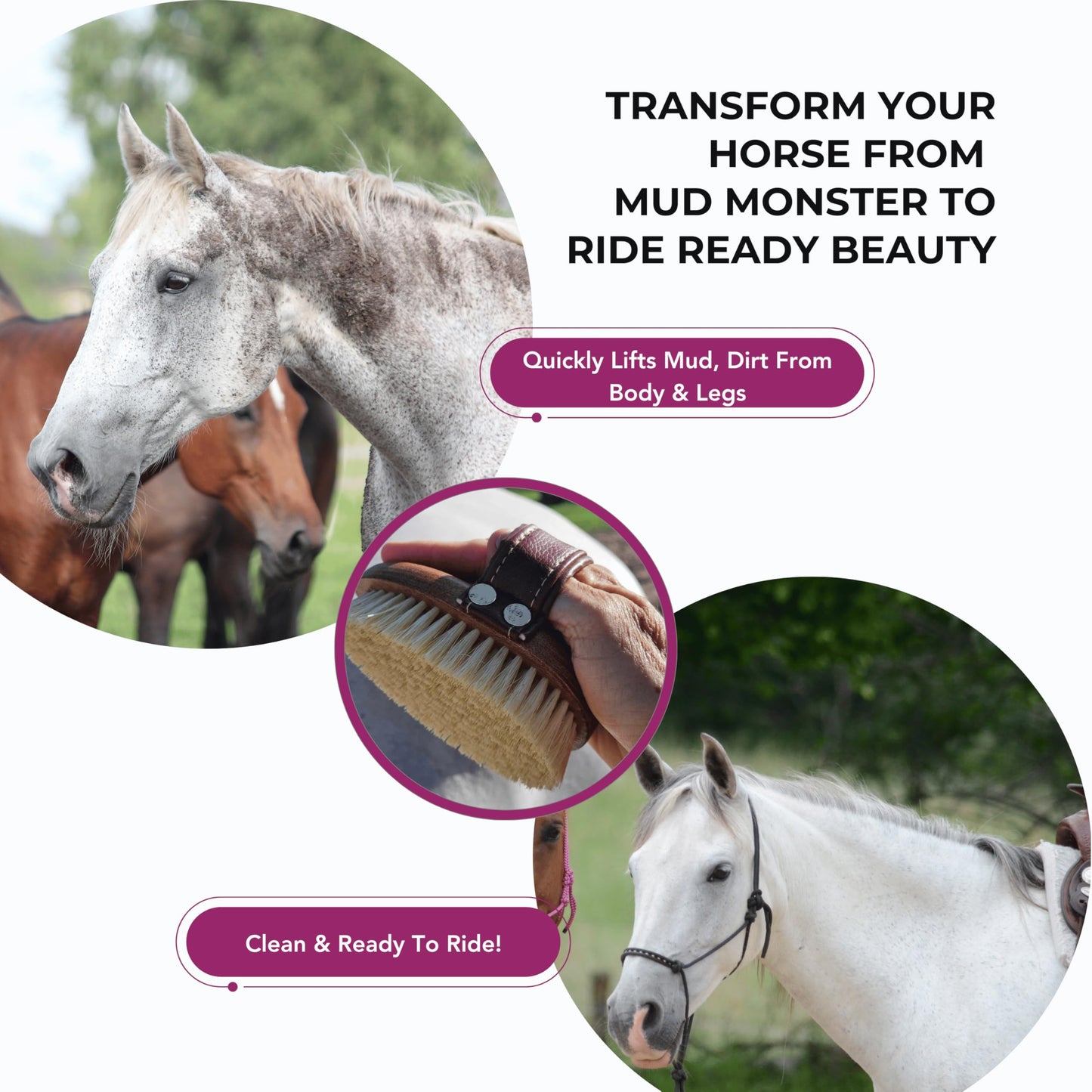 Horse Grooming Brush – Mud & Dirt Removal, Stiff Sisal Bristles, Compact Size | Gentle on Sensitive Coats, Premium Equine Care Tool for Grooming Kit