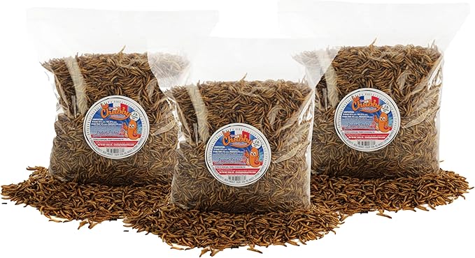 Chubby Dried Mealworms 6 Lbs - Grown in The EU - Non-GMO Mealworms for Chicken & Birds - Chicken Feed Treats for Laying Hens (6 Lb)