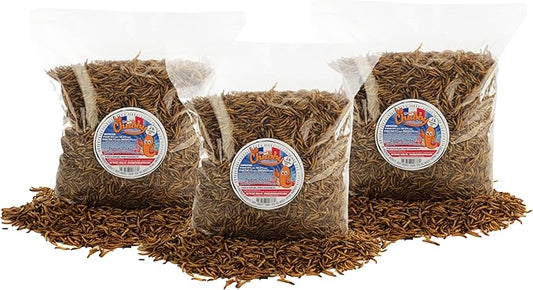 Chubby Dried Mealworms 6 Lbs - Grown in The EU - Non-GMO Mealworms for Chicken & Birds - Chicken Feed Treats for Laying Hens (6 Lb)