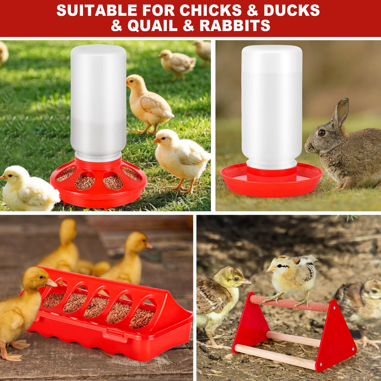 Chicken Brooder Box for Chicks, Brooder Box with Feeder and Waterer, Chick Starter Kit with Chick Perch for Small Poultry Ducks Quail