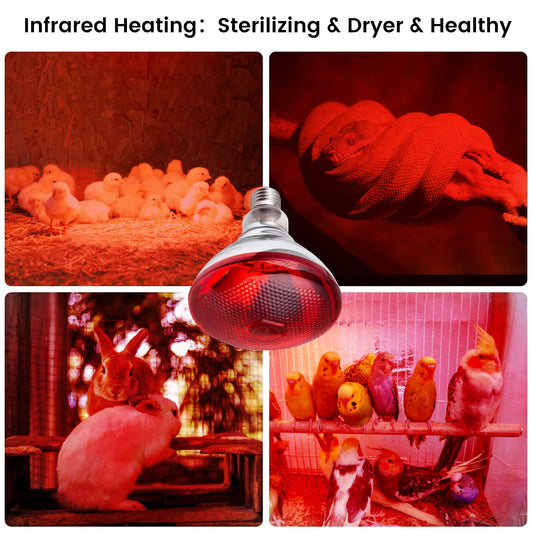 YEAOI Heat Lamp for Chickens Coop Brooder and Reptile Heat Bulb 150 Watt Infrared Red Light