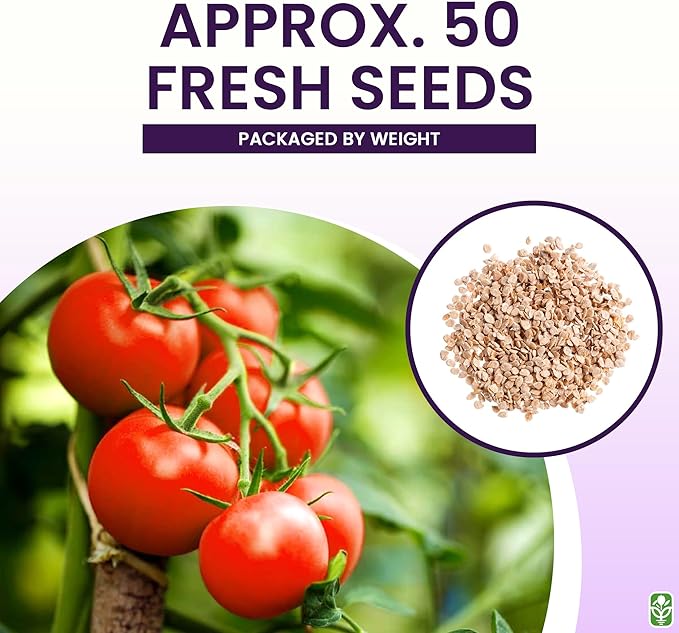 Bonny Best Tomato Seeds for Planting – Heirloom, Large & Juicy – One of The Most Delicious Tomatoes for Home Growing – Vegetable Seeds for Planting - Grown in The USA