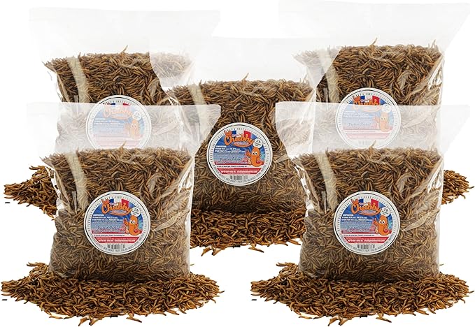 Chubby Dried Mealworms 10 Lbs - Grown in The EU - Non-GMO Mealworms for Chicken & Birds - Chicken Feed Treats for Laying Hens (10 Lb)