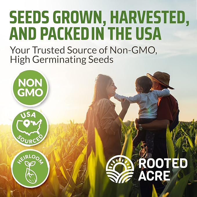 Rooted Acre 8 Varieties Hot Peppers – 240 Heirloom Seeds, 𝗡𝗢𝗡-𝗚𝗠𝗢 𝗨𝗦𝗔-𝗦𝗢𝗨𝗥𝗖𝗘𝗗, High Germination – Includes Ghost, Jalapeño, Serrano, California Wonder & More – Spicy Pepper Garden Mix