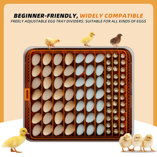 Ouluu 56 Egg Incubator, Automatic Turning & Smart Temp/Humidity Control, Built-in Candler, Plus Hatching Guide – for Chicken, Duck, Quail, Goose, Parrot, Pigeon, Ideal for Farm, Home, Lab, Classroom