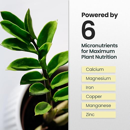 16oz ZZ Plant Fertilizer - Makes 32 Gallons of Liquid Fertilizer for Indoor Plants, Outdoor & Houseplant Food for ZZ Plant Live - Nutrient-Rich Formula for Glossy Leaves & Strong Roots