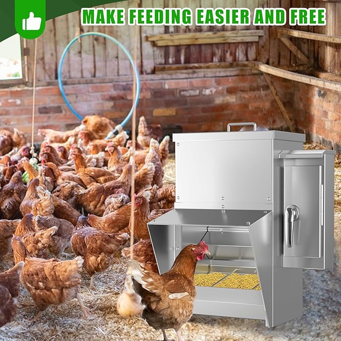 ChiPak Automatic Chicken Feeder with Timer - 25LB Capacity Stainless Steel Poultry Trough Feeders W/ 4 Sets of Timer Settings,Weatherproof Chicken Food Dispenser for 6-12 Chickens