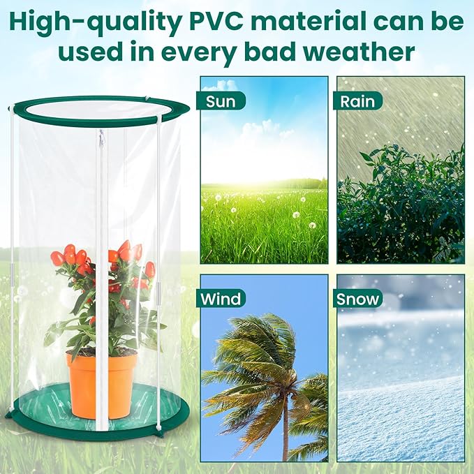Nuanchu 2 Pieces Mini Greenhouse 19.7 x 10.2 Inch Portable Plant Flowers Mini Cover PVC Clear Greenhouse for Indoor Outdoor Gardening