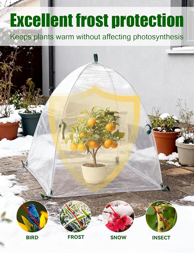 2 Pack Mini Greenhouse, Clear Outdoor Garden Frost Cover, Portable Small Green House for Indoor Outdoor, Small Grow Plant House Tent, Greenhouse Cover for Cold Frost Protector Plants (Transparent)