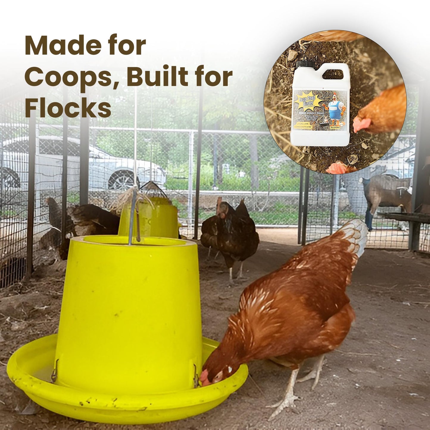 Coop Poop Buster – Chicken Coop Cleaner | 2-Gallon Mix | Natural Coop Refresher for Chickens | Safe & Effective Cleaning | Spray for Coops & Nesting, Chicks, Ducks, | 16 oz Concentrate. 2,000+ Sq Ft