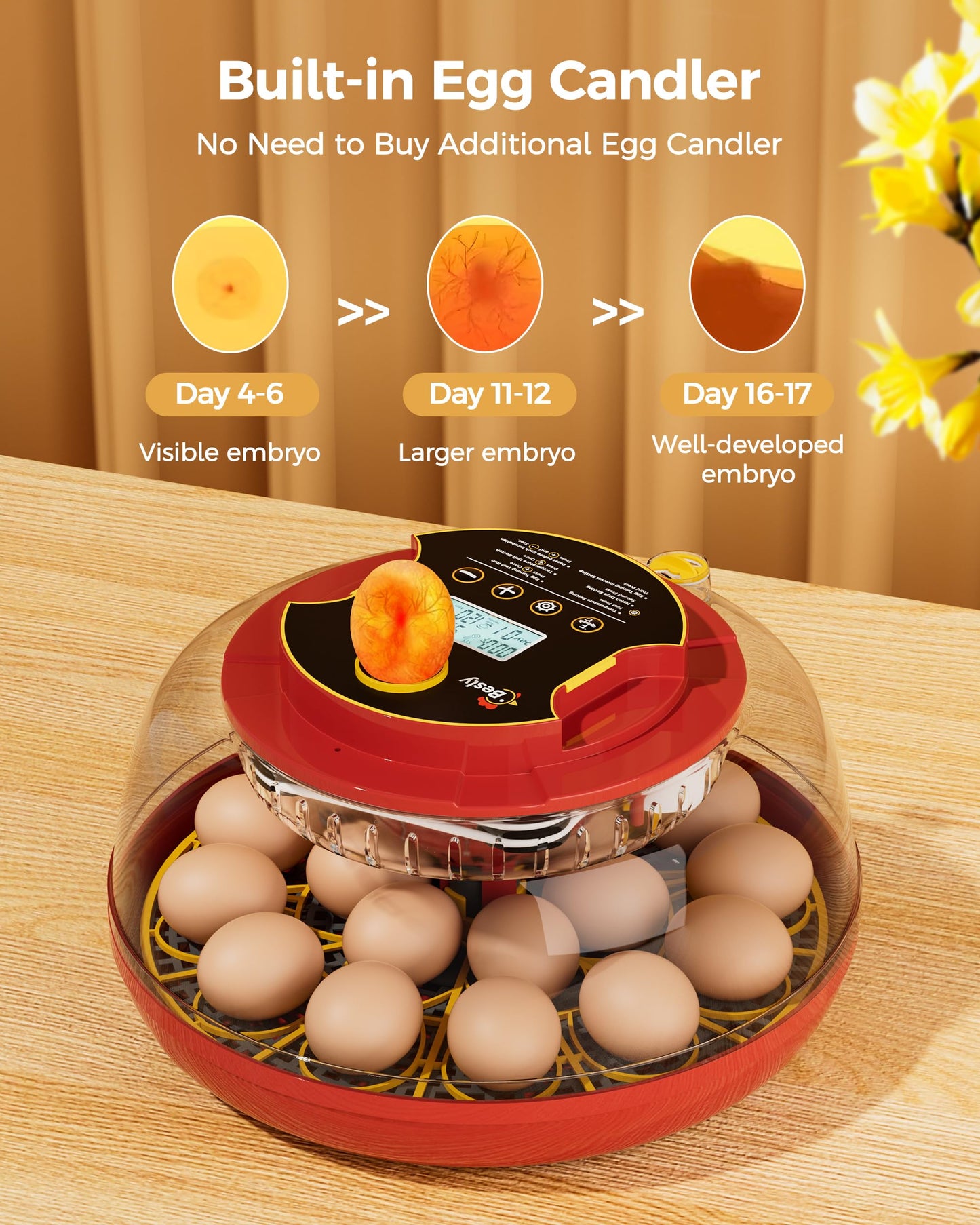 18 Egg Incubator with Automatic Egg Turning and Humidity Control, 360° Viewing, Dual Size Egg Trays for Chicken, Duck, Goose, Turkey, Quail, and Parrot Eggs, Ideal for Farm, Classroom, Home Use