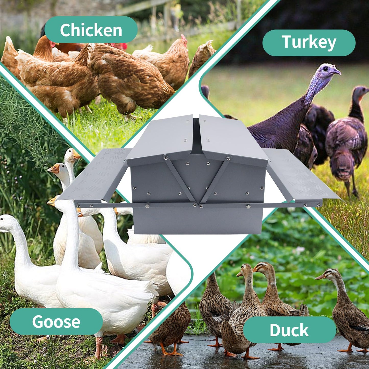 Lucky Farm Automatic Chicken Feeder Treadle Poultry Feeding Trough Plastic Spraying Steel 25lb No Spill for Roosters Duck Goose and Turkey