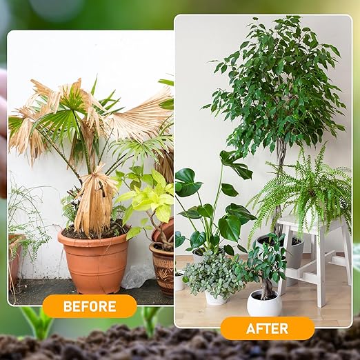 2Pcs Soil Activators,Organic Soil Activators and Plant Fertilizers,Garden Beds for Cultivation,Potting Mix and Seedling Compost,Dirt Health Booster,Promoting Plant Rooting,120G*2