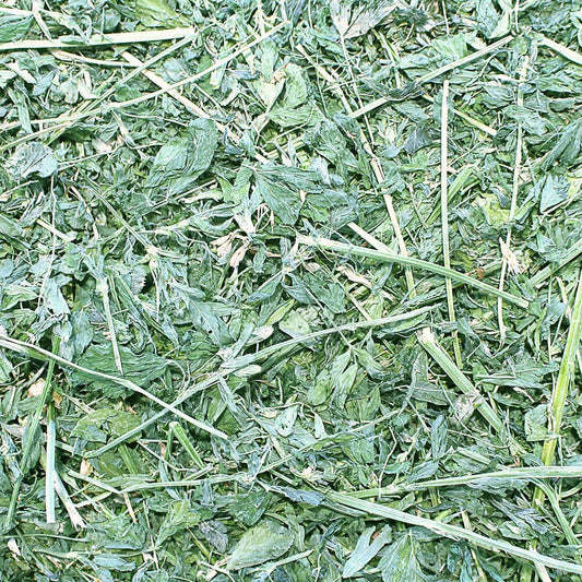 Grandpa's Best Alfalfa Hay for Rabbits, Guinea Pigs, Chinchillas, Hamsters & Gerbils, 10lb Loose Boxed