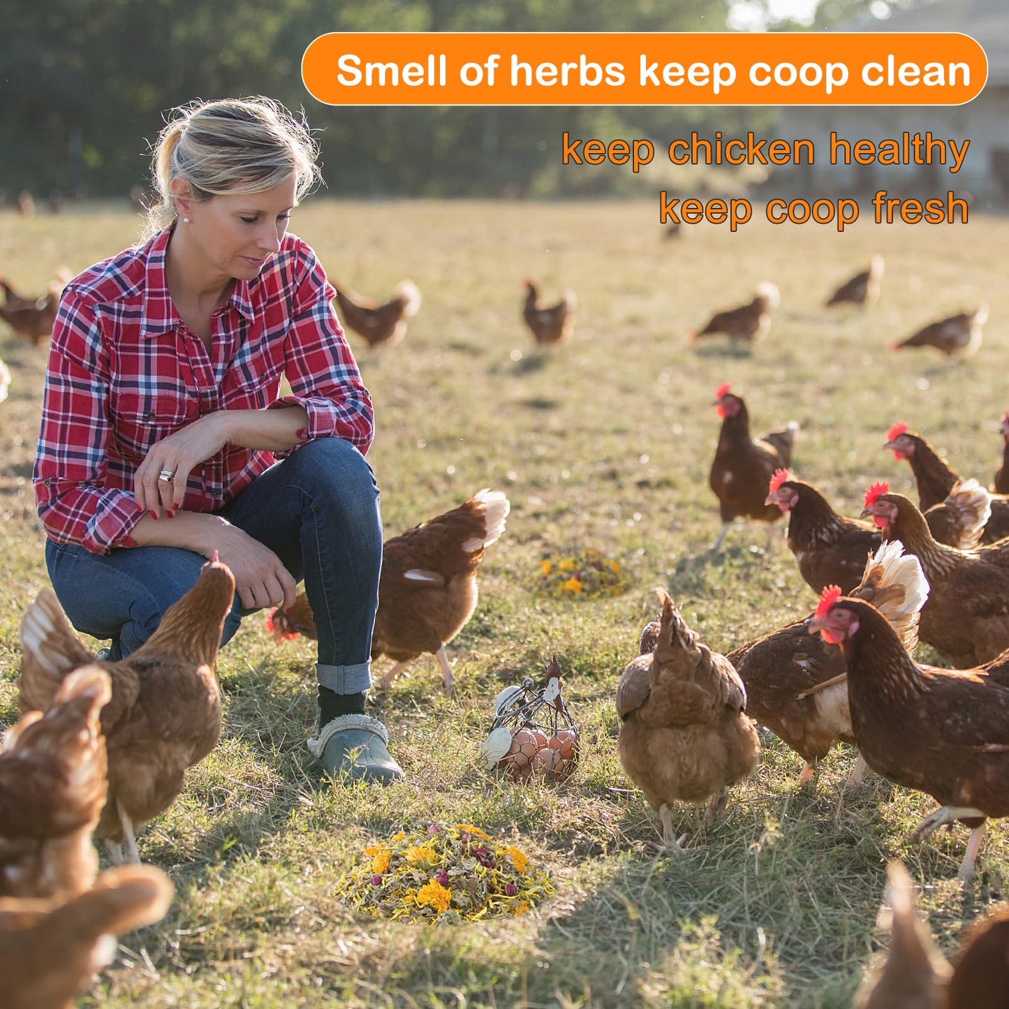 HoazHoald 35 Oz Chicken Nesting Coop Boxes Pads Herbs Natural Roost Poultry House Incubator Grit Flowers Lime Hemp Bedding Refresher for Coop Freshness Promote Egg Laying Help Smell Box Packaging