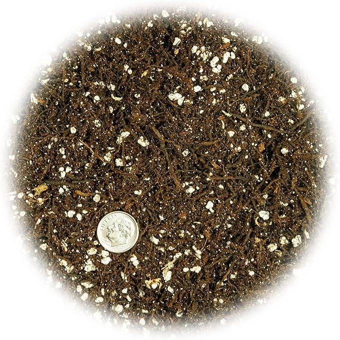 Gardenera Fern + Perlite Soil Mix - 10 Quart - for Repotting and Planting Succulents and Cactuses (2 Bags of 5 Quart)