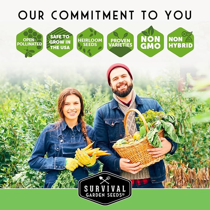 Fall & Winter Vegetable Seed Collection – 8 Packs of Non-GMO Heirloom Seeds for Planting Vegetables | Autumn & Indoor Gardening Seed Pack – Survival Garden Seeds