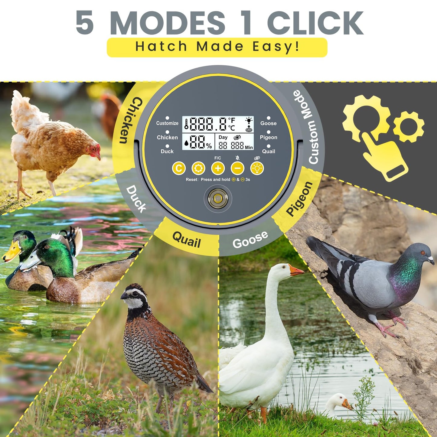 Incubators for Hatching Eggs with Automatic Egg Turner, Temperature Humidity Control, Egg Candler, Large Water Tank, 5 Preset Hatching Modes for Chicken Duck Goose Quail Pigeon Eggs-12 Capacity