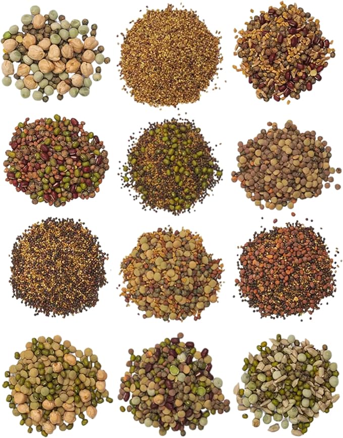 The Sprout House Assorted Mix Sprouting Seeds - Grow Fresh Sprouts & Bean Sprouts at Home, Organic, Non-GMO, Nutrient-Packed for Salads, Sandwich & Smoothies, Premium 12 Pack | 2 oz Each
