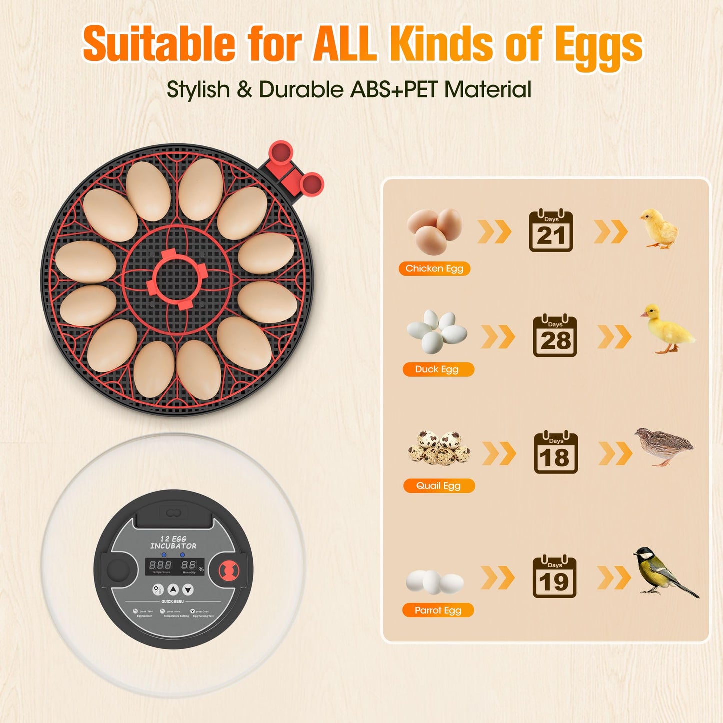 Incubators for Hatching Eggs,12 Egg Automatic Egg Turner with Temperature Humidity Control,Digital Display,Auto Alarm,360° Viewing for Chicken,Quail,Duck Eggs