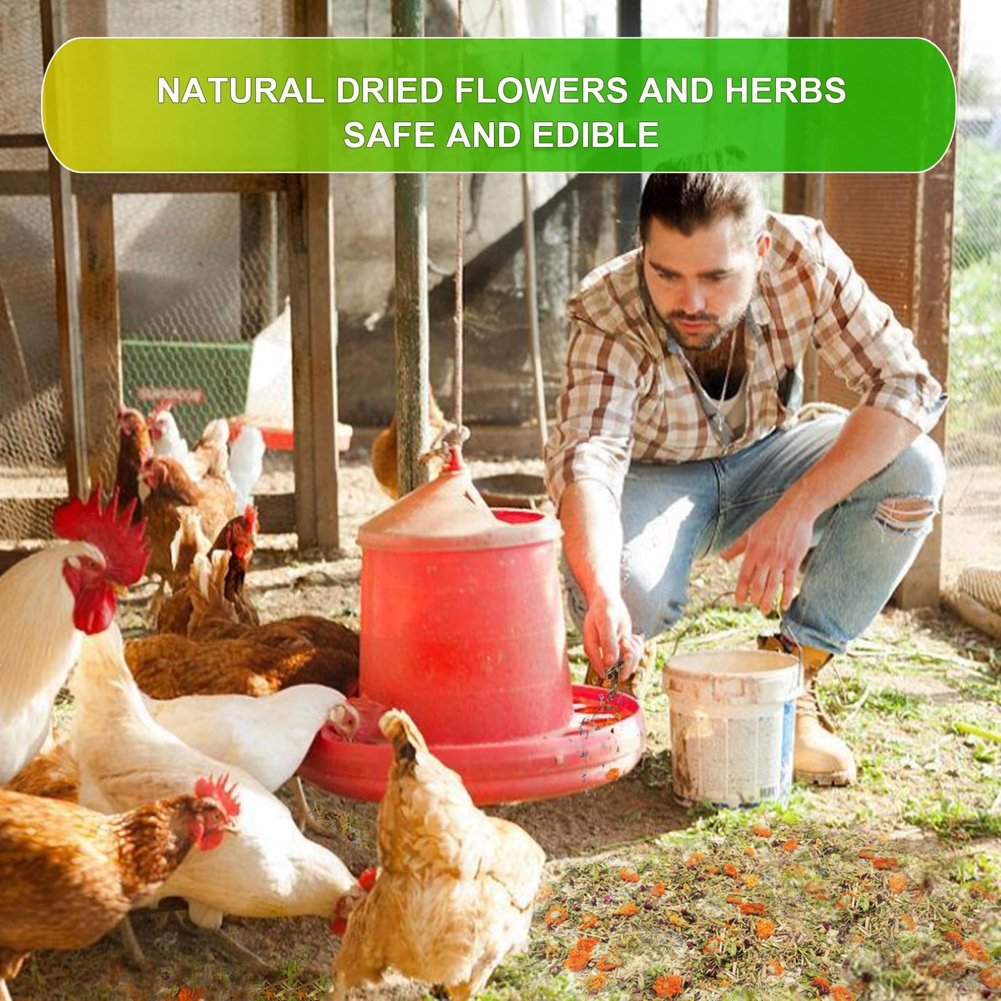 Chicken Nesting Herbs - 14 Oz Natural Nesting Box Herbs in 6 Dried Flower & Herbs for Fresh The Coop Make The Box Smelling Nice and Create Comfortable Environment for Chickens (14oz)