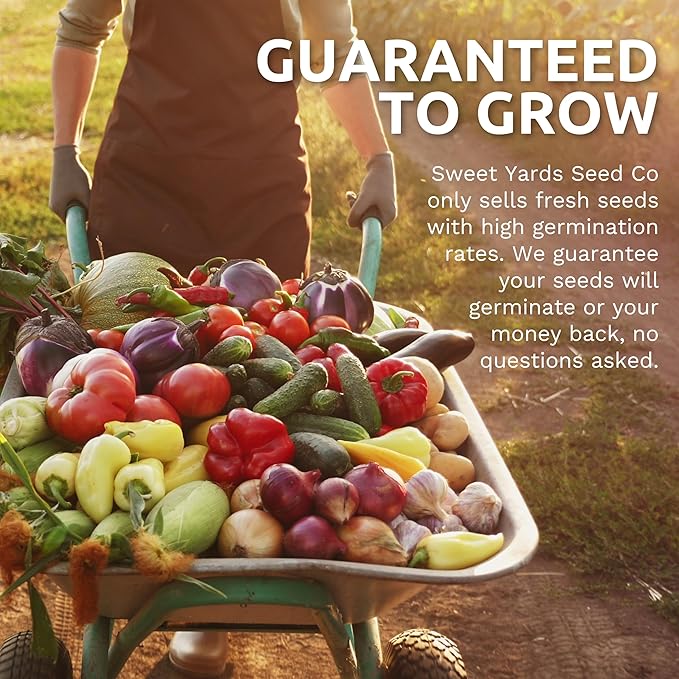 Organic Melon Seeds Variety Pack - 10 Individual Packs - 2025 Season - Sugar Baby, Charentais, Hearts of Gold and More! for Indoor & Outdoor Planting (Non-GMO, Certified Organic)