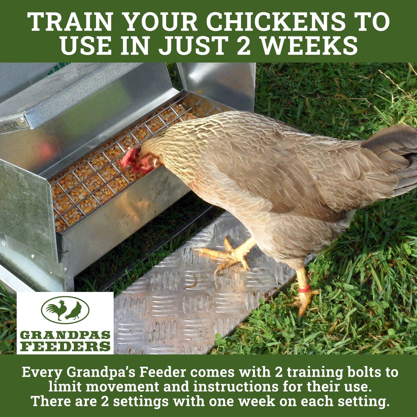 Grandpas Feeders Automatic Chicken Feeder for Large Size for 12 Chickens - Long-Lasting Galvanized Steel - Zero Waste Poultry Feeder, Spill Proof with Weatherproof Lid 10 Days (40lb Feed)