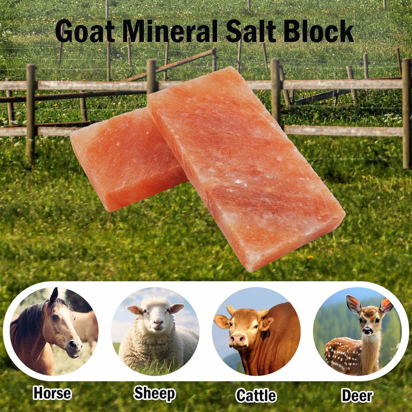 MUYG Himalayan Rectangle Horse Salt Lick Brick for Cattle, Goats, Cows and Other Livestock, 100% Natural Animal Salt Blocks for Deer Provide Minerals(1 Pcs | 8 x 4 x1 Inches)