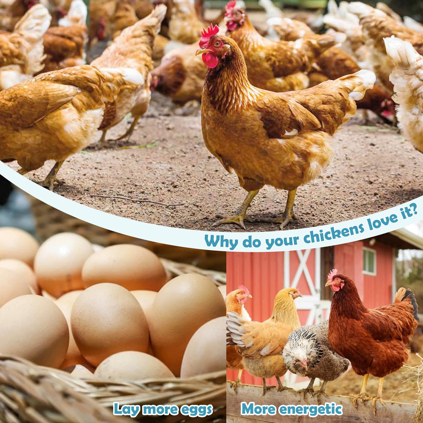 Chicken Dewormer - 120 Tablets All-Natural Formula, US-Made Chicken Dewormer Supplies For All Ages and Sizes to Relieve and Prevent Worms in Laying Hens, Chicks, Roosters, Turkeys, and Other Poultry