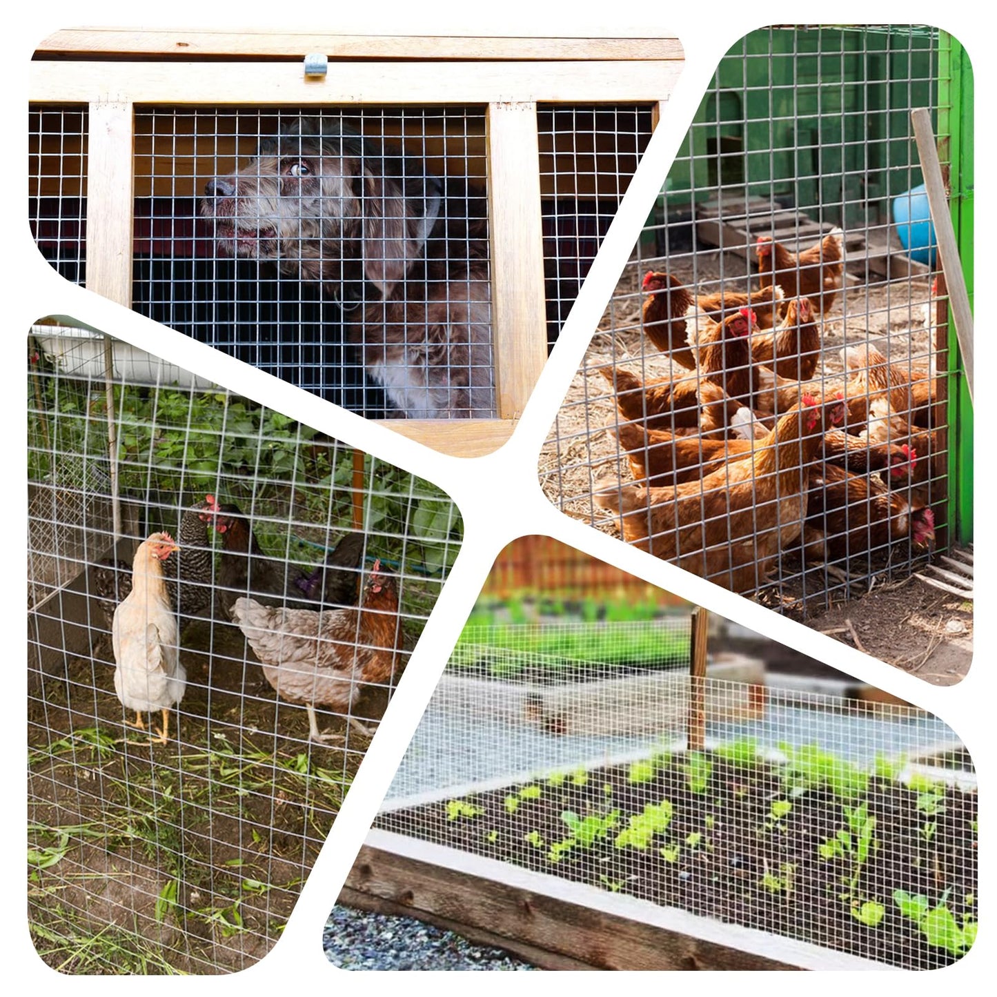 Hardware Cloth 1/2in 4'' x 10' 19GA ，Hot-dip Galvanized After Welding ，Chicken Wire Mesh,Chicken Coop Fence,Screen Mesh,Rabbit/Snake Fence,for Garden Poultry Animal Netting Cage