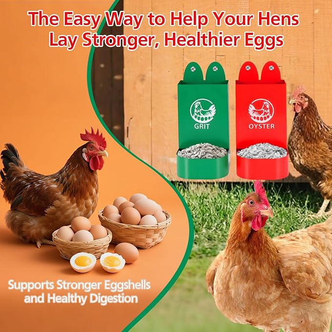 Chicken Grit and Oyster Shell Feeder for Hens – US Patent Pending – Heavy-Duty Metal Chicken Feeder with Rounded Edges – Chicken Coop Accessories Improve Eggshell Quality and Hen Health