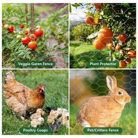 ROADPLUM Chicken Wire Mesh 13.8 x 157 in, Rustproof Galvanized Iron Garden Fence Barrier for Pet Rabbit Cat, Floral Chicken Wire Netting to Protect Poultry Plant Fruit