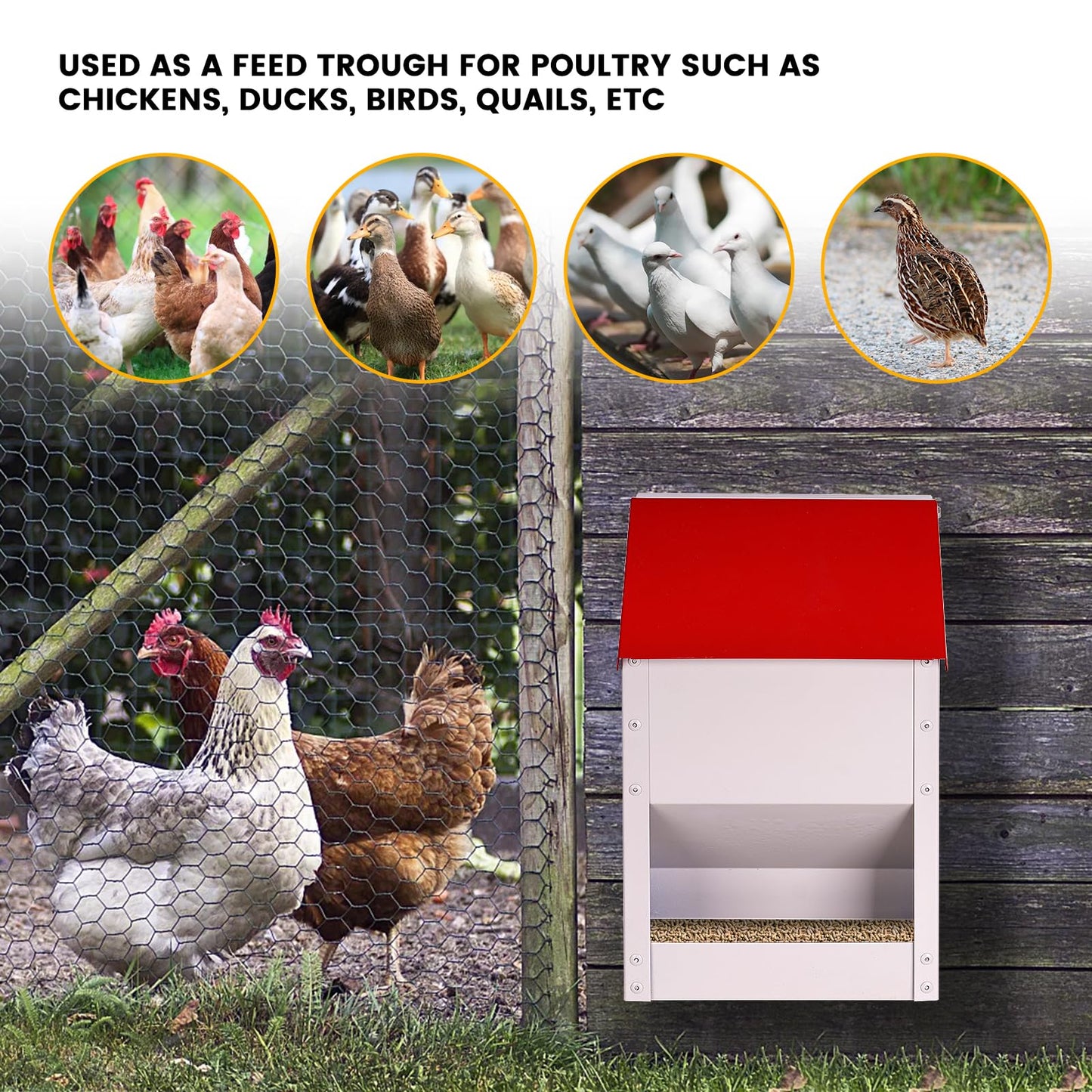 KHEARPSL Galvanized Wall Mount Chicken Feeder No Waste Hanging Chicken Feeder with Lid Weatherproof Metal Automatic Poultry Feeder Trough Food Dispenser for Outside Coop (10 lbs)