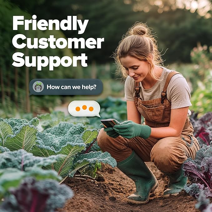 HOME GROWN 𝗨𝗦𝗔 𝗣𝗥𝗘𝗠𝗜𝗨𝗠 Heirloom Vegetable Seeds 𝗡𝗢𝗡-𝗚𝗠𝗢 Vegetable Seeds for Planting Home Garden, Beans, Carrots, Peppers, Cucumber, Kale, Pepper Seeds, Tomato (4 Kale)