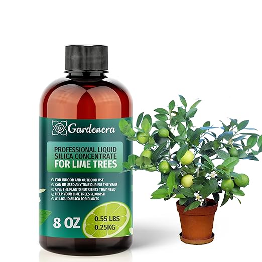 𝐏𝐑𝐄𝐌𝐈𝐔𝐌 Liquid Silica Plant Supplement - 8oz (250mL) - Lime Trees Plants Liquid Silica Boost Fertilizer - Stronger Stems & Healthy Leaves for Indoor & Outdoor Lime Trees (Makes 45 Gallons)