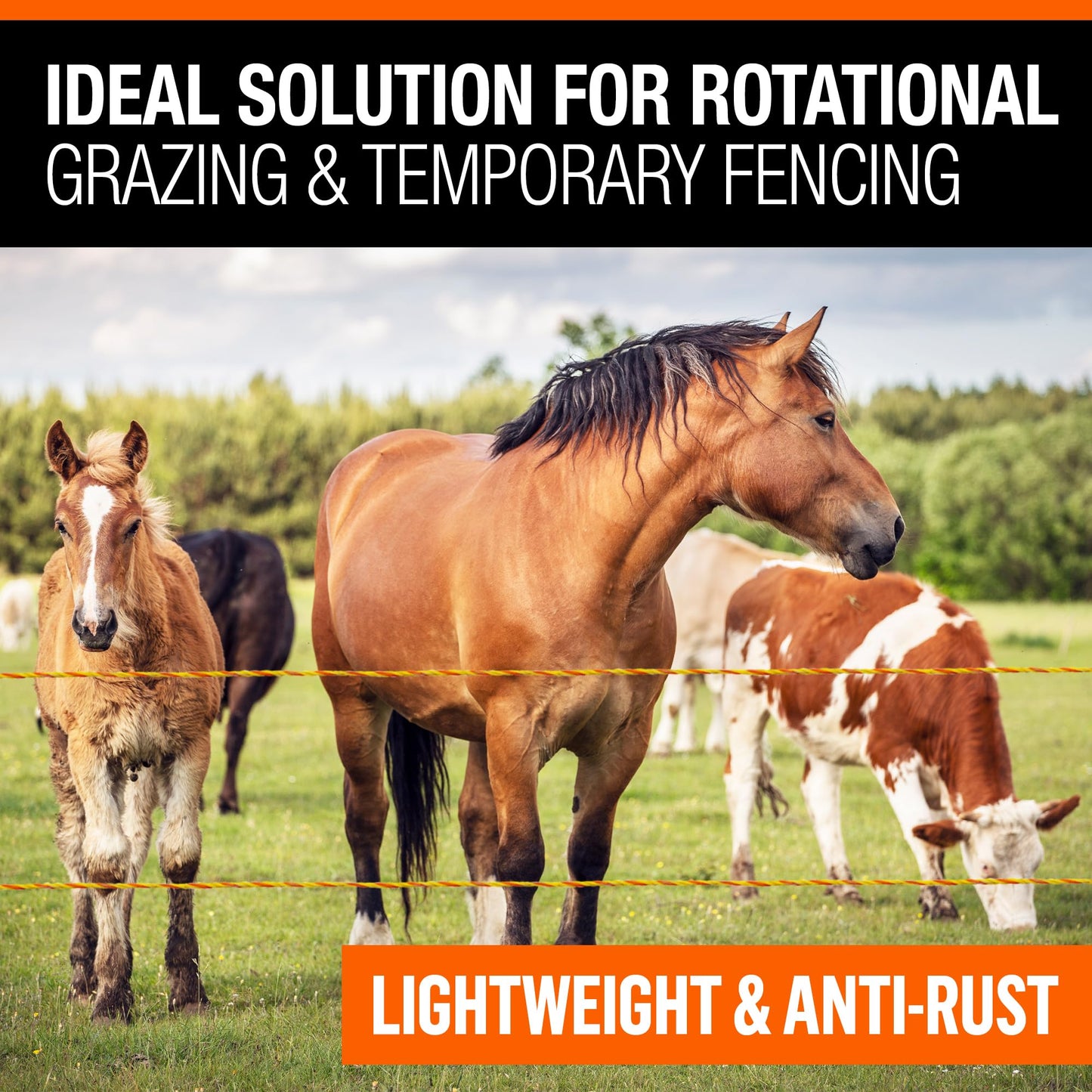 Electric Fence Polywire 1/8” with 9 Stainless Steel Strands - High Visible Wire Fencing for Horse, Cattle, Livestock - Portable Fencing with UV and Rust Resistance - 3280ft