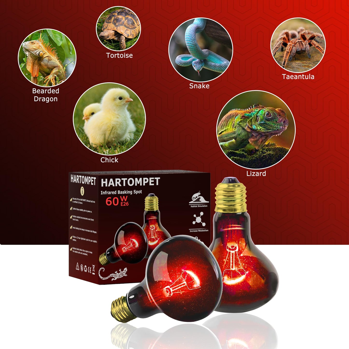 HARTOMPET 60W Infrared Red Heat Lamp for Reptiles, Basking Spot Bulb for Pet Lizards, Bearded Dragons, Chameleons & Snakes, Red Heat Emitter Light for Chickens Coop and Brooder Use, E26|2 Pack